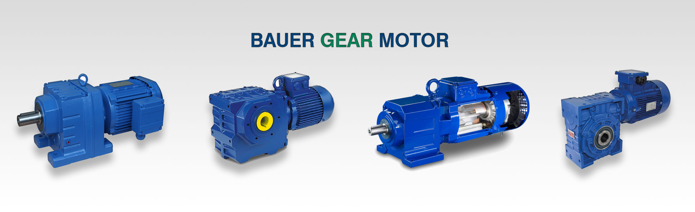 Đại lý Bauer tại Việt Nam