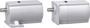 Gearmotors (6W to 40W)